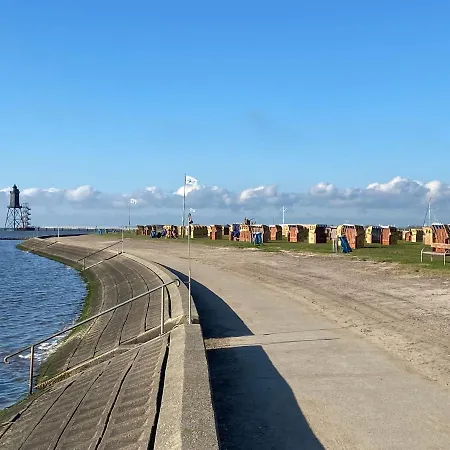 Kiebitz * ドルム・ノイフェルト