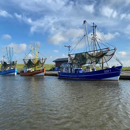 Kiebitz Dorumer Neufeld