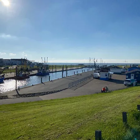 Kiebitz * Dorumer Neufeld