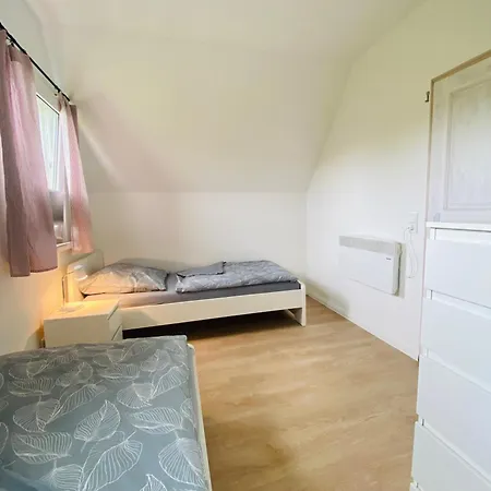 Kiebitz * Dorumer Neufeld