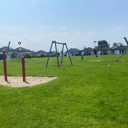 Kiebitz Dorumer Neufeld