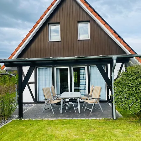 Kiebitz * Dorumer Neufeld