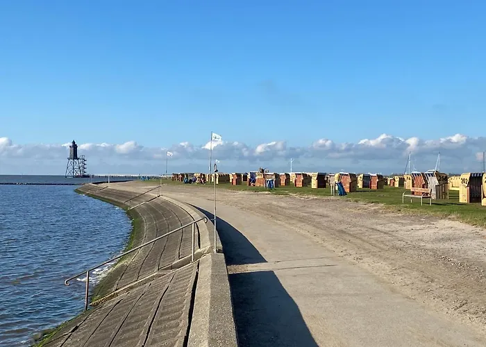 Kiebitz * دورم نيوفيلد