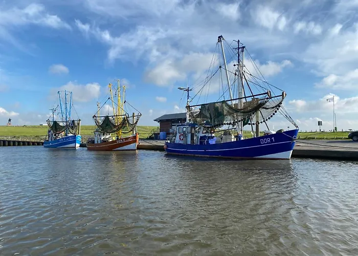 Kiebitz Dorumer Neufeld