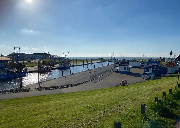 Kiebitz * دورم نيوفيلد