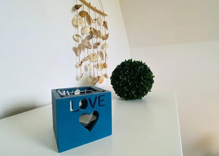 Kiebitz * Dorumer Neufeld