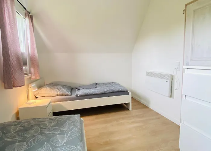 Kiebitz * دورم نيوفيلد