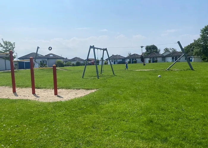 Kiebitz Dorumer Neufeld