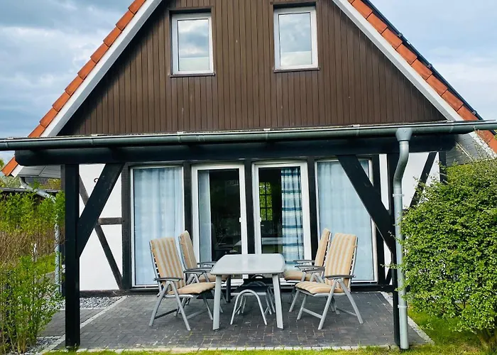 Kiebitz * Dorumer Neufeld